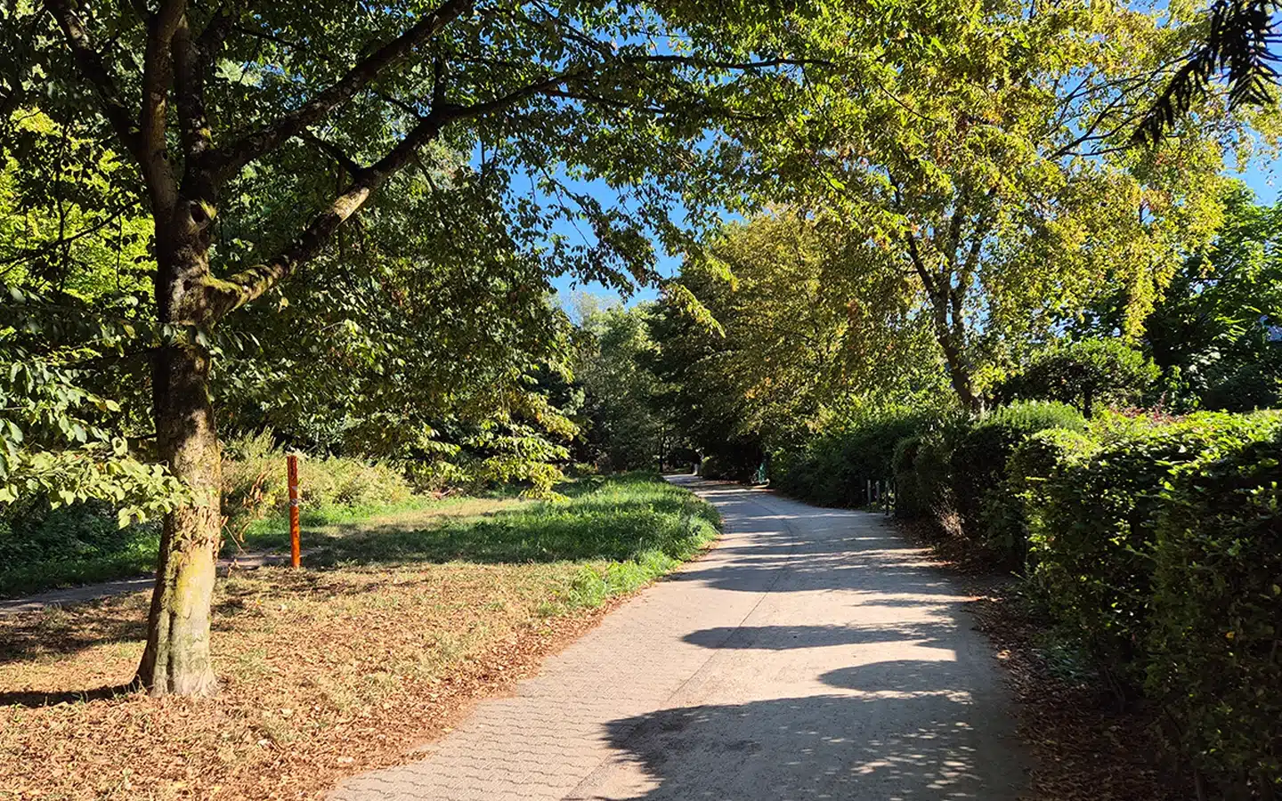 Wohnwege in Düsseldorf-Hellerhof, grün und schön